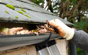 gutter cleaning Ruxton Green, Herefordshire